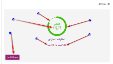 معرفة استهلاك النت من الراوتر we